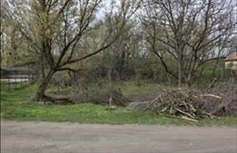 Eladó Péceli üdülőövezeti telek hirdetés (99772621)