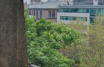 Eladó Budapest II. kerületi tégla lakás hirdetés (33378739)