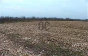 Eladó Debreceni egyéb mezőgazdasági ingatlan hirdetés (75749791)