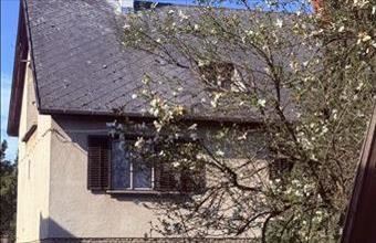 Eladó Bakonyszentlászlói családi ház hirdetés (35671549)