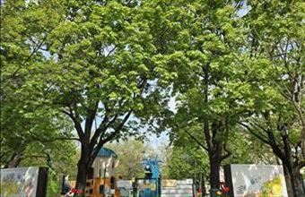 Kiadó Budapest I. kerületi tégla lakás hirdetés (23312237)