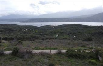 Eladó Görögországi lakóövezeti telek hirdetés (23786854)