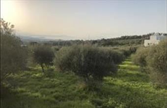 Eladó Görögországi lakóövezeti telek hirdetés (43444523)