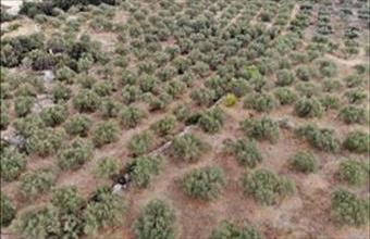 Eladó Görögországi lakóövezeti telek hirdetés (75777849)