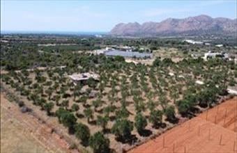 Eladó Görögországi lakóövezeti telek hirdetés (34748343)