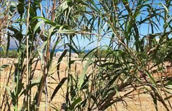 Eladó Görögországi lakóövezeti telek hirdetés (93332443)