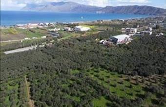 Eladó Görögországi lakóövezeti telek hirdetés (73593273)