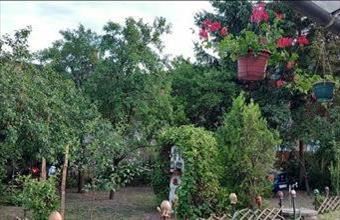 Eladó Miskolci családi ház hirdetés (44343835)