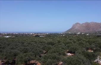 Eladó Görögországi lakóövezeti telek hirdetés (59817547)