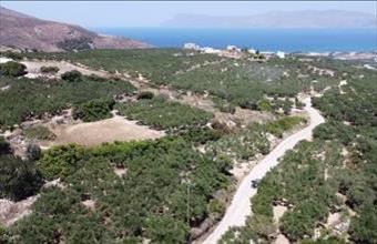 Eladó Görögországi lakóövezeti telek hirdetés (73357734)