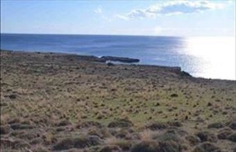 Eladó Görögországi lakóövezeti telek hirdetés (77344799)