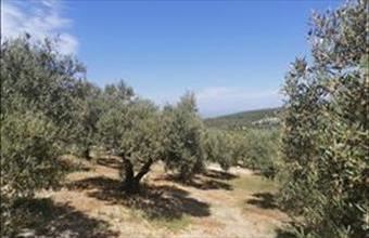 Eladó Görögországi lakóövezeti telek hirdetés (32642245)