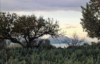 Eladó Görögországi lakóövezeti telek hirdetés (63339622)