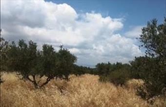 Eladó Görögországi lakóövezeti telek hirdetés (97732448)