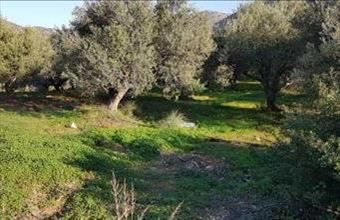 Eladó Görögországi lakóövezeti telek hirdetés (48494588)