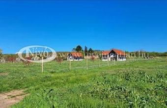 Eladó Balatonalmádi családi ház hirdetés (48745243)