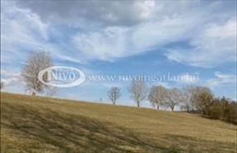 Eladó Kapolcsi külterületi telek hirdetés (92434797)