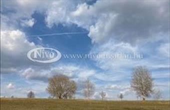 Eladó Kapolcsi külterületi telek hirdetés (63397578)