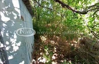 Eladó Sólyi egyéb telek hirdetés (23733762)