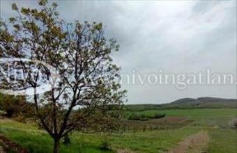 Eladó Pécselyi üdülő hirdetés (24694125)