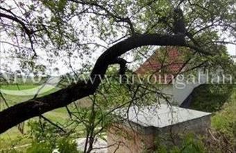 Eladó Pécselyi üdülő hirdetés (45332244)