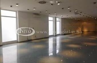 Kiadó Veszprémi egyéb üzlethelyiség hirdetés (52654533)