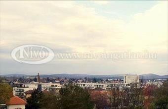 Kiadó Veszprémi egyéb üzlethelyiség hirdetés (72382616)