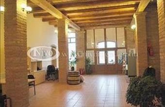 Eladó Bakonyjákói telephely hirdetés (27369454)