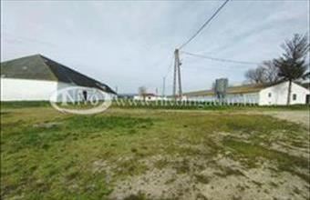 Eladó Veszprémi telephely hirdetés (68637763)