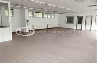 Kiadó Veszprémi telephely hirdetés (32459355)