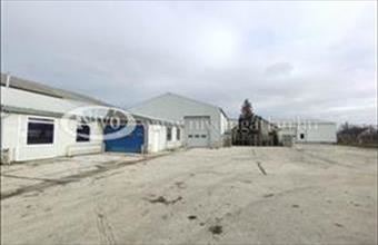 Eladó Ősi telephely hirdetés (23425343)