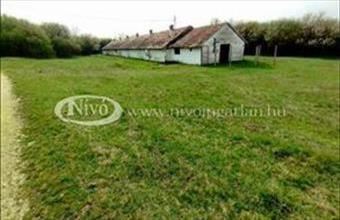 Eladó Veszprémi termőföld, szántó hirdetés (11643661)