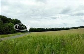 Eladó Hárskúti termőföld, szántó hirdetés (56438427)