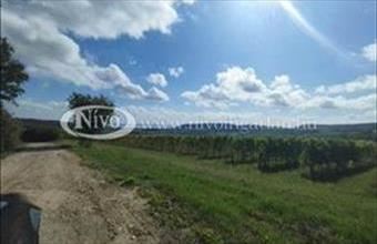 Eladó Szentjakabfai termőföld, szántó hirdetés (58132773)