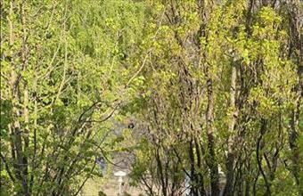 Eladó Budapest XVI. kerületi panel lakás hirdetés (33527673)