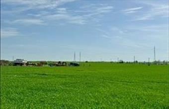 Eladó Kesztölci lakóövezeti telek hirdetés (37363129)