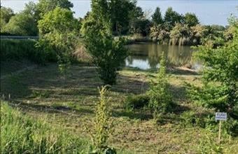 Eladó Békésszentandrási hétvégi ház hirdetés (73477116)