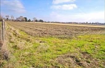 Eladó Szatymazi egyéb mezőgazdasági ingatlan hirdetés (73264924)