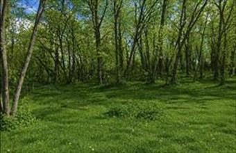 Eladó Veresegyházi lakóövezeti telek hirdetés (96498975)