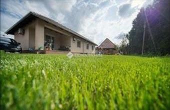 Eladó Albertirsai családi ház hirdetés (43369345)