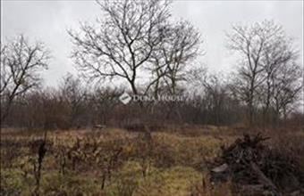 Eladó Őrbottyáni lakóövezeti telek hirdetés (44456629)