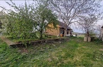 Eladó Csépi családi ház hirdetés (29553997)