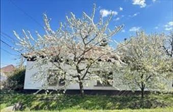 Eladó Nagykőrösi családi ház hirdetés (37494733)