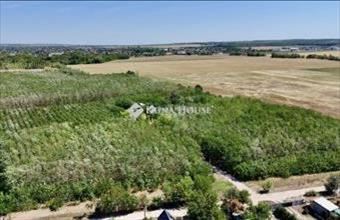 Eladó Gyömrői fejlesztési lakóterület hirdetés (45323952)