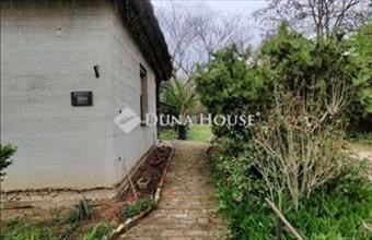 Eladó Dabasi családi ház hirdetés (54564688)