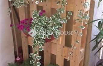 Eladó Inárcsi családi ház hirdetés (48353724)