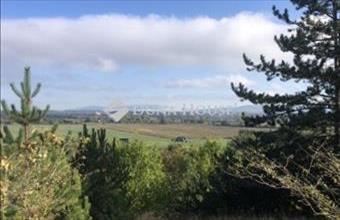 Eladó Mogyorósbányai külterületi telek hirdetés (77722362)