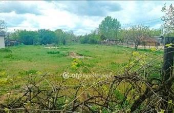 Eladó Nagykőrösi üdülőövezeti telek hirdetés (44699989)