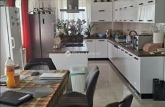 Eladó Sényői családi ház hirdetés (14933737)