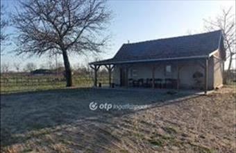Eladó Röszkei tanya hirdetés (53451377)